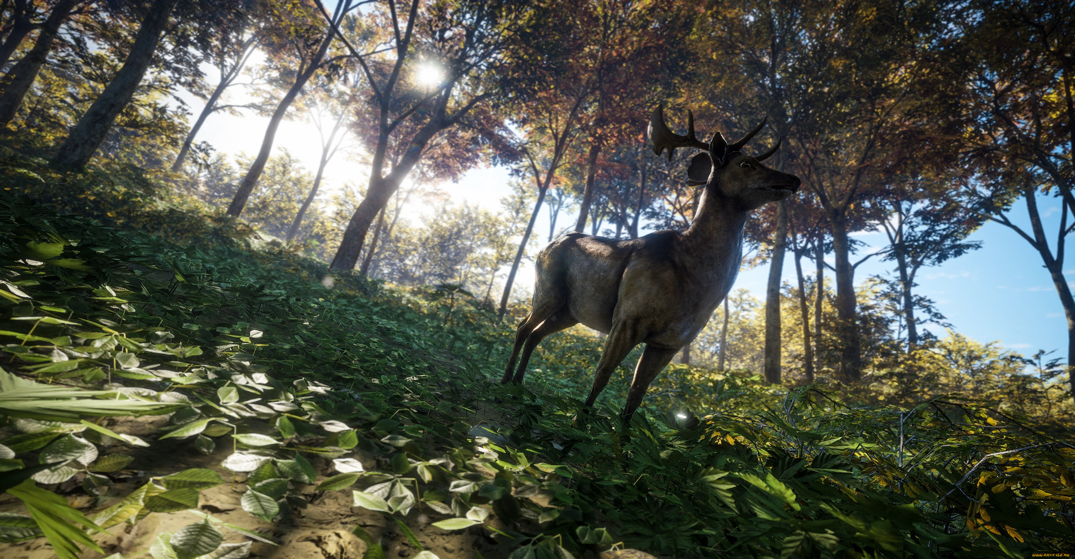  , the hunter, the, hunter